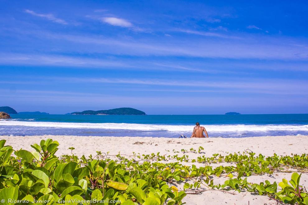 Imagem de uma vegetação verdíssima nas areias da praia.